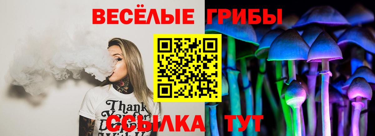 Псилоцибиновые грибы Psilocybe Нурлат